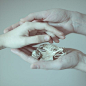 #插画狂想# 手。（by Laura Makabresku） ​​​​