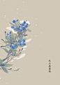 水彩 植物花卉 插画 artistic青尘/绘