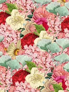 lovestruck品牌形象设计//Oh Babushka 设计圈 展示 设计时代网-Powered by thinkdo3