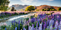 10 Of The Most Beautiful Gardens In The World : These entries for the International Garden Photographer of the Year will blow you away.