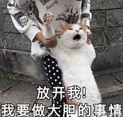 花瓣燕欲主页有图 (1777)