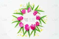毛茛属植物,粉色,叶子,花环,蕨类,茶味玫瑰,毛莨科,花店,毛莨属植物,贺卡