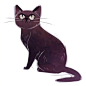 来自插画师 Heather Nesheim 画笔下的猫咪  |  everydaycat.deviantart.com