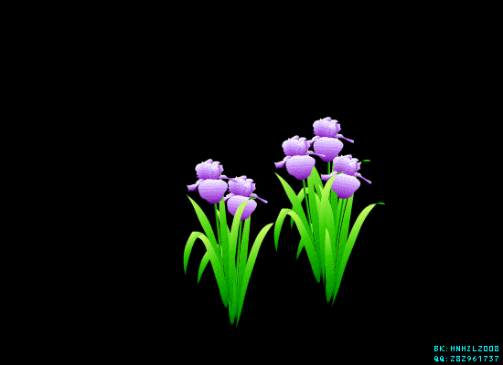 550_400gif 动态图 动图