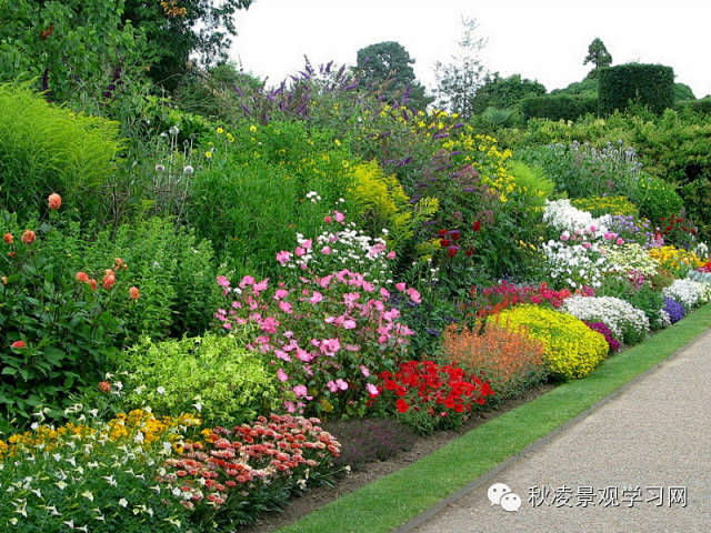 景观花镜实景，植物设计参考借鉴