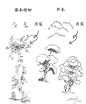 一些实用的 植物速写技法… ​​​​