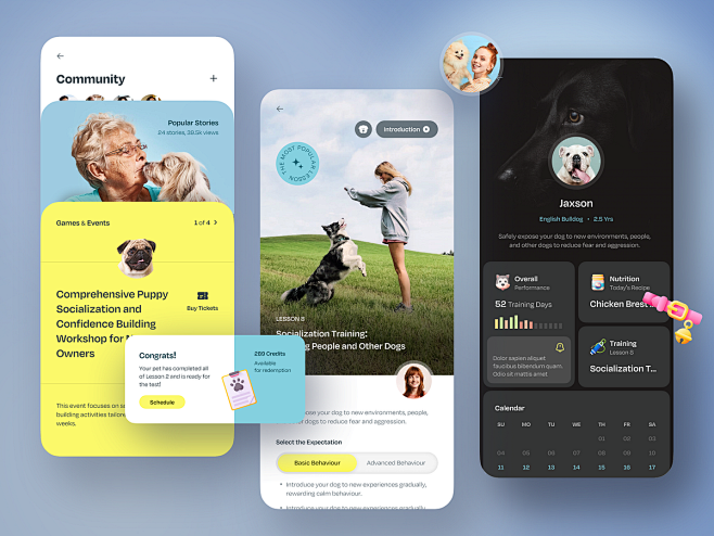 Dog Training App app...