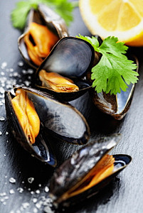 Mussels by Natalia K...