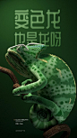 C4D#变色龙
