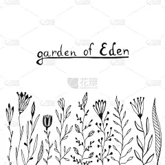 野花素描集。手绘花卉边框背景。矢量装饰贺卡