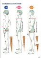 【#人体素材# 】不同体型的人体体态和肌肉线条参考，画人体必备的细节素材。

50张高清系列人体素材包下载戳O网页链接或加群832218220#绘画素材#