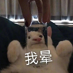 黄里子采集到随心所欲