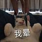 @萌图豆 的个人主页 - 微博