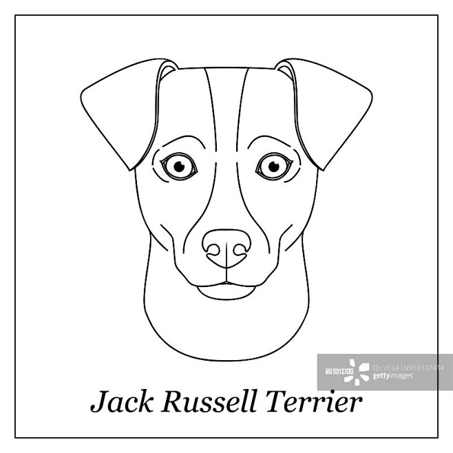 杰克拉瑟短腿犬,卡通,狗,纯种犬,肖像正...