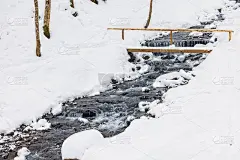 喀尔巴阡山脉森林山谷中山间溪流上的木桥