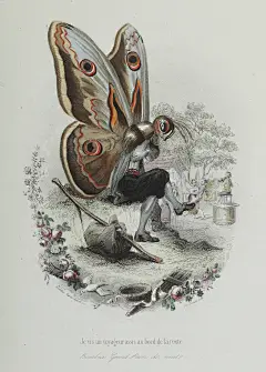 giant-peacock-moth-rawscan.jpg (2560×3578)