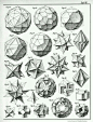 431d866ba8bf1e4a957dbaae439cc9d7.jpg (728×960)