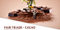 Fair Trade - Cacao : Fair trade cacao is a personal project showing different elements of the production of cacao. From cacao pods to sweet chocolate. The soil the farmers are plowing in is actually cacao powder. For the best structure I combined two caca
