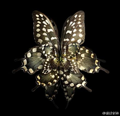 落地为僧采集到花房