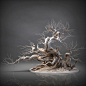 The tree of silence
