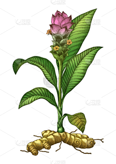 21roiyl采集到花草泥