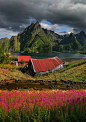 Svolvaer | Norway (by Moro)