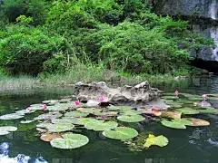 山水景观，董安，宁平，越南