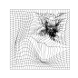 Distorted Grid-14
