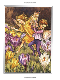 鹰眼龙雨采集到Cicely Mary Barker 画师