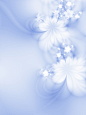 浅蓝色花朵线条背景图片