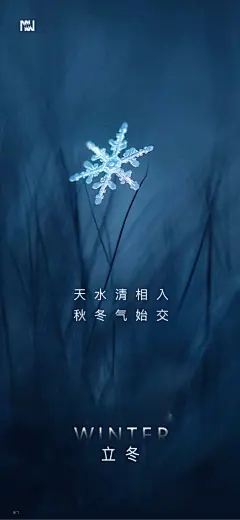 立冬中华传统节气海报