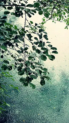 倾盆大雨摄影iPhone壁纸下载,创意,唯美,创意,清新,大雨,手机壁纸,640x1136