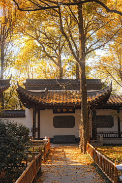 黎黎啦啦啦采集到构图及环境参考