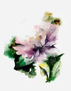 水彩晕染花卉 平面电商 创意素材
