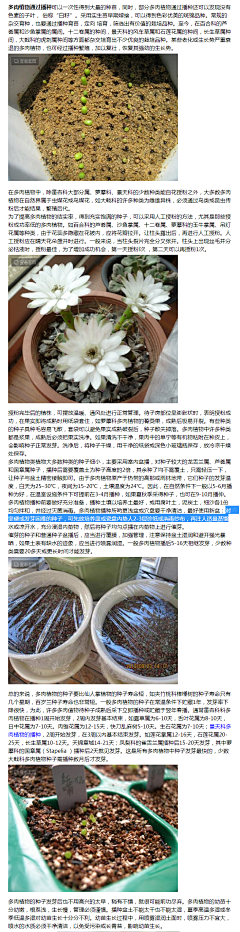 惠子（Anne）采集到多肉微景观