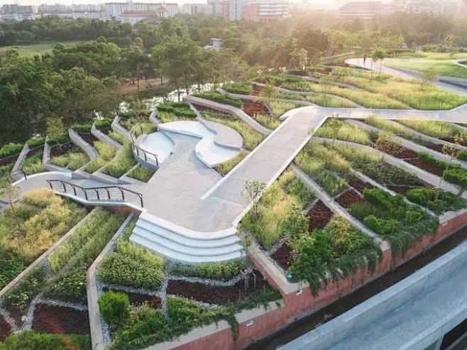 数万网友表示想去种菜，亚洲最大的城市屋顶...