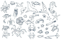 海鲜海产动物包装线稿鱼虾蟹手绘海洋生物AI+psd设计素材 (2)