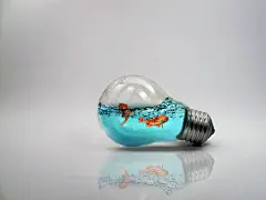 采集图片