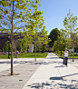 康涅狄格大学University of Connecticut, Whetton Quadrangle by Copley Wolff Design-mooool设计