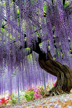 聿方设计采集到花海