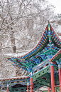 #初雪# 我也发一组，雪中的甘肃兰州五泉山古建筑群，2019年年初在兰州拍的。

西北地区的雪景也可以很美，古典的亭台楼阁配上大雪，有一种天人合一的意境。 ​​​​