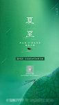 【源文件下载】 海报 地产 二十四节气  夏至 蜻蜓 昆虫 荷叶