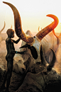 cultxcult:

youmightfindyourself:
Dinka Boy with Long Horned Bull, South Sudan, photographed by Carol Beckwith/Angela Fisher
