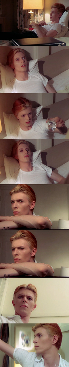 DeadLoverSarabande采集到David Bowie