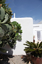 Ibiza Finca: