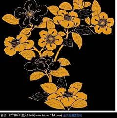 黑色背景上的插画黄色叶子和黑色黄色芍药