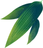 20200605-103449-338b.png (554×614)