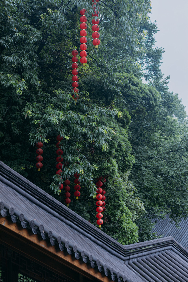 有所求

摄影：洪小漩

场景：上天竺法...