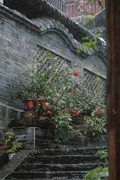 _5699458880