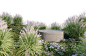 风景背景7